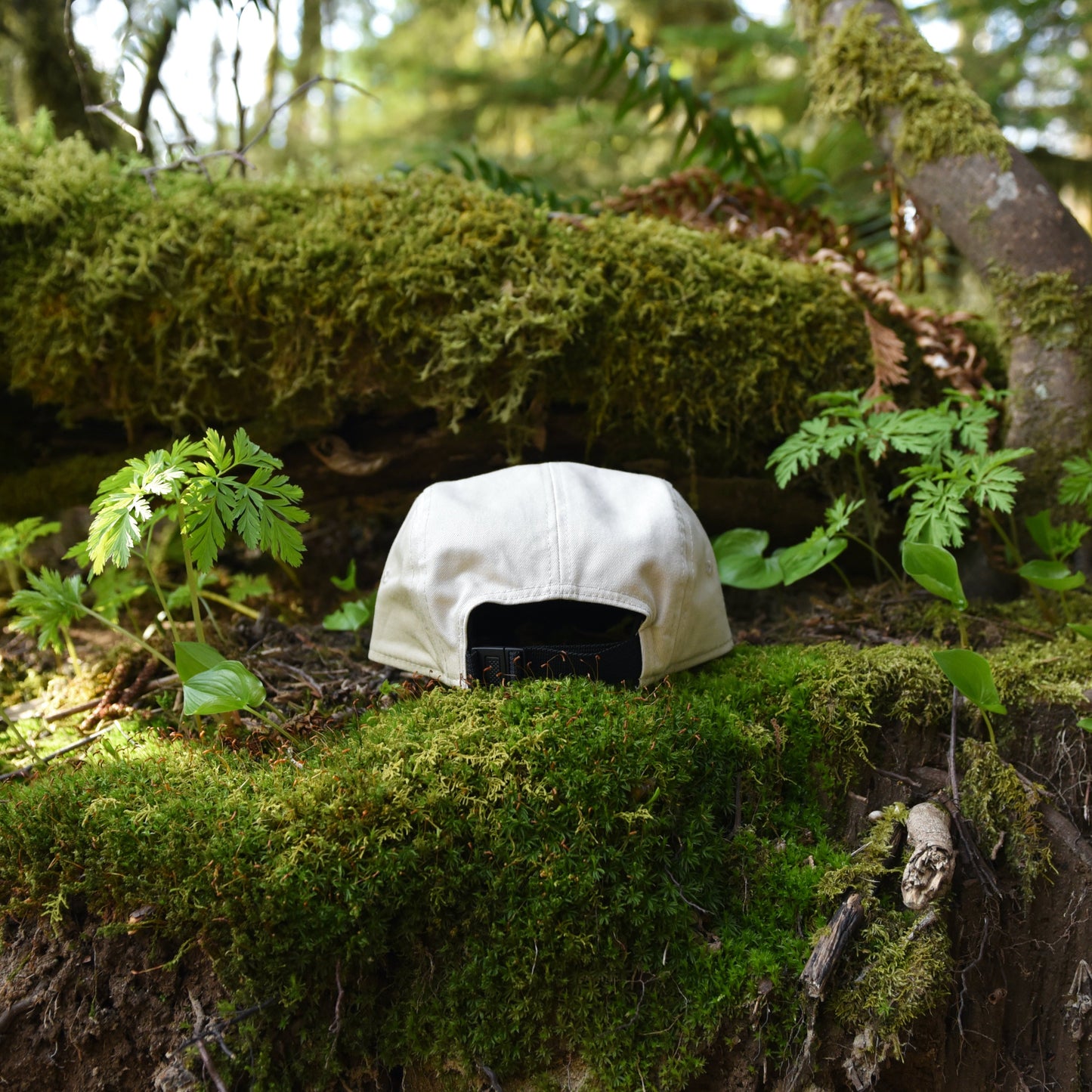 The Salt Shed ball cap